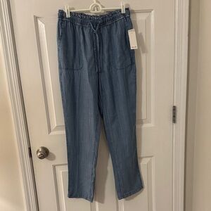 Splendid Blue Chambray Elastic Waist Pants